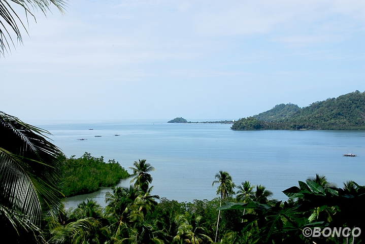 DSC_0002MW.jpg - Nord Sulawesi