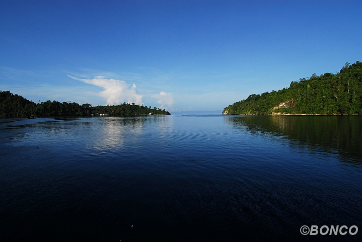 DSC_0192MW.jpg - Isole Banggai